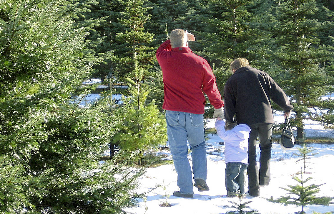 Visits to local tree farms are part of the season.                                Kitsap News Group file photo