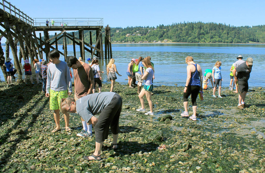 Seeing nature through the eyes of children | Kitsap, Naturally | Kitsap ...