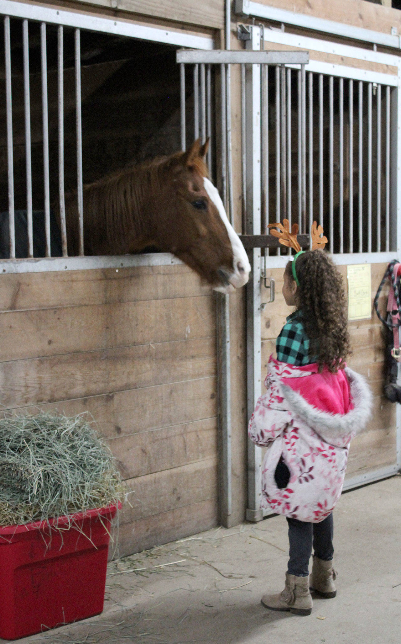 Port Orchard foster children were invited to The Riding Place to meet and even ride horses, as well as Santa.                                Michelle Beahm / Kitsap News Group