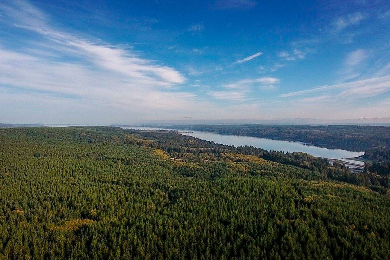 Coalition acquires final block of Port Gamble forest land