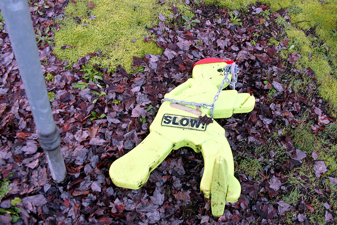 At 7:30 a.m. Jan. 15, crosswalk signage near the crosswalk at the intersection of 8th Avenue and Iverson Street was not visible to motorists because it was on its side and chained to a bolt in the ground. On one side of the street, a holder for pedestrian flags was empty. (Richard Walker/Kitsap News Group)