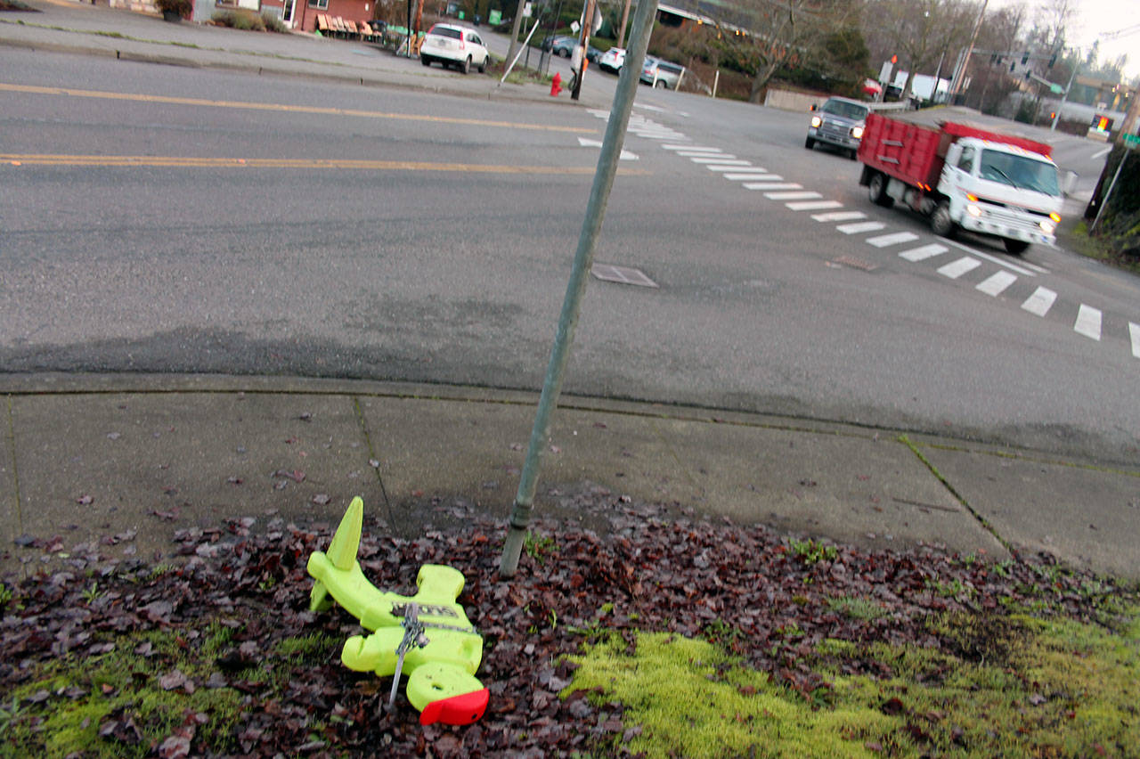 At 7:30 a.m. Jan. 15, crosswalk signage near the crosswalk at the intersection of 8th Avenue and Iverson Street was not visible to motorists because it was on its side and chained to a bolt in the ground. On one side of the street, a holder for pedestrian flags was empty. (Richard Walker/Kitsap News Group)
