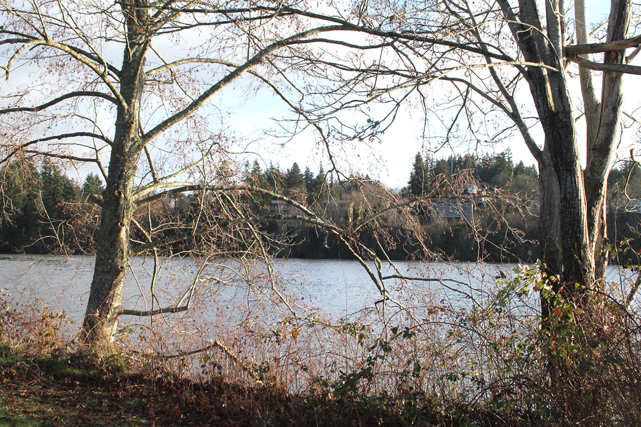 The City of Poulsbo will receive $400,000 toward the purchase of four acres in the Viking Avenue area, south of Liberty Road and between 5th Avenue and a city waterfront trail. (Jacob Moore/Kitsap News Group)