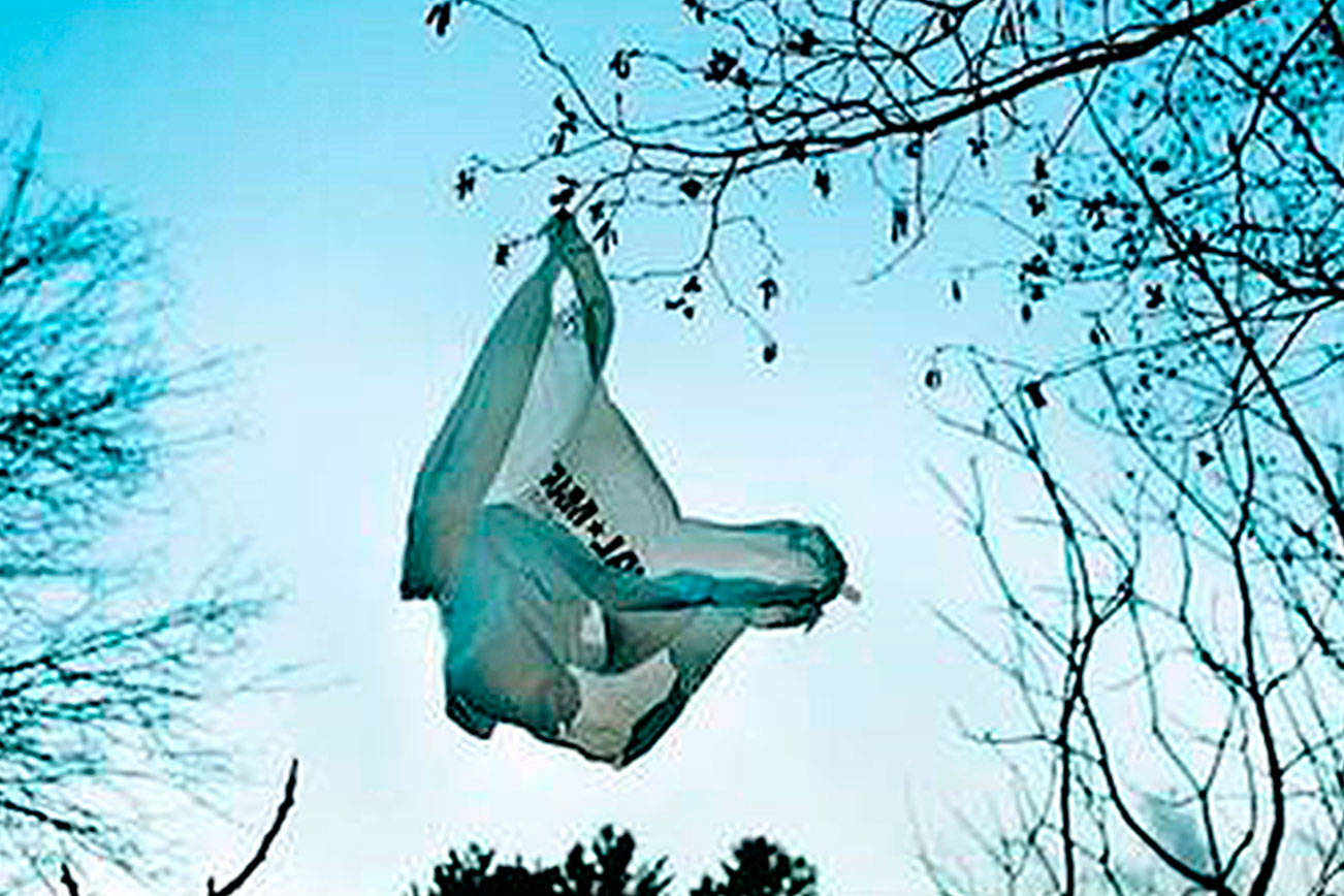 Town Hall: Plastic bag ban may be part of Kitsap’s future