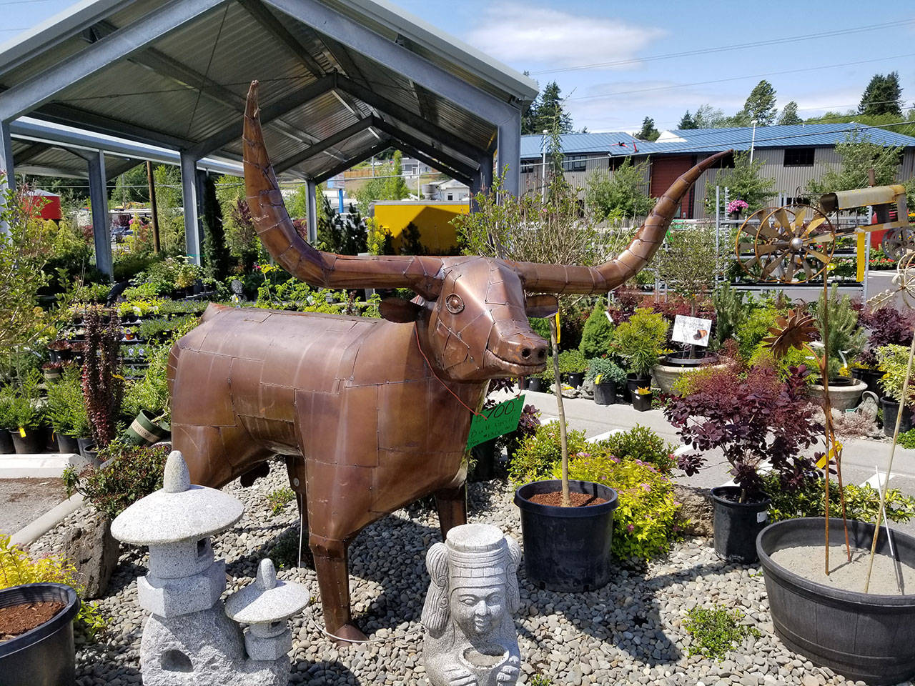 Business is blooming at Olmsted’s Nursery on Viking Avenue Kitsap