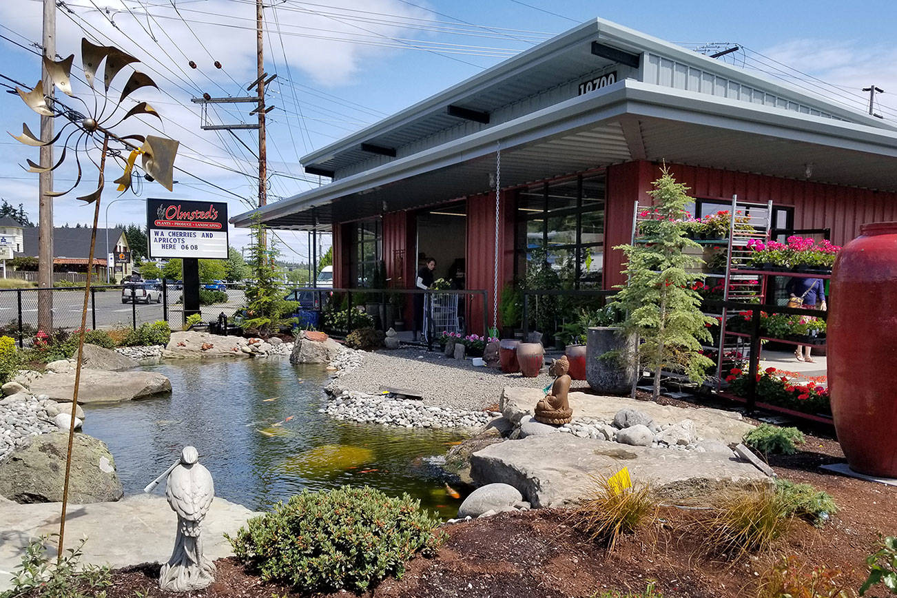 Business is blooming at Olmsted’s Nursery on Viking Avenue