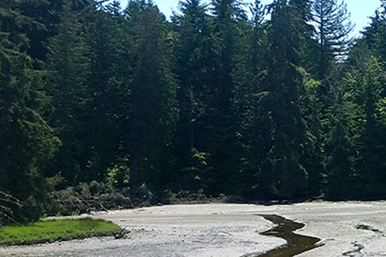 Kingston Stillwaters Environmental Center celebrates Estuary Liberation Day