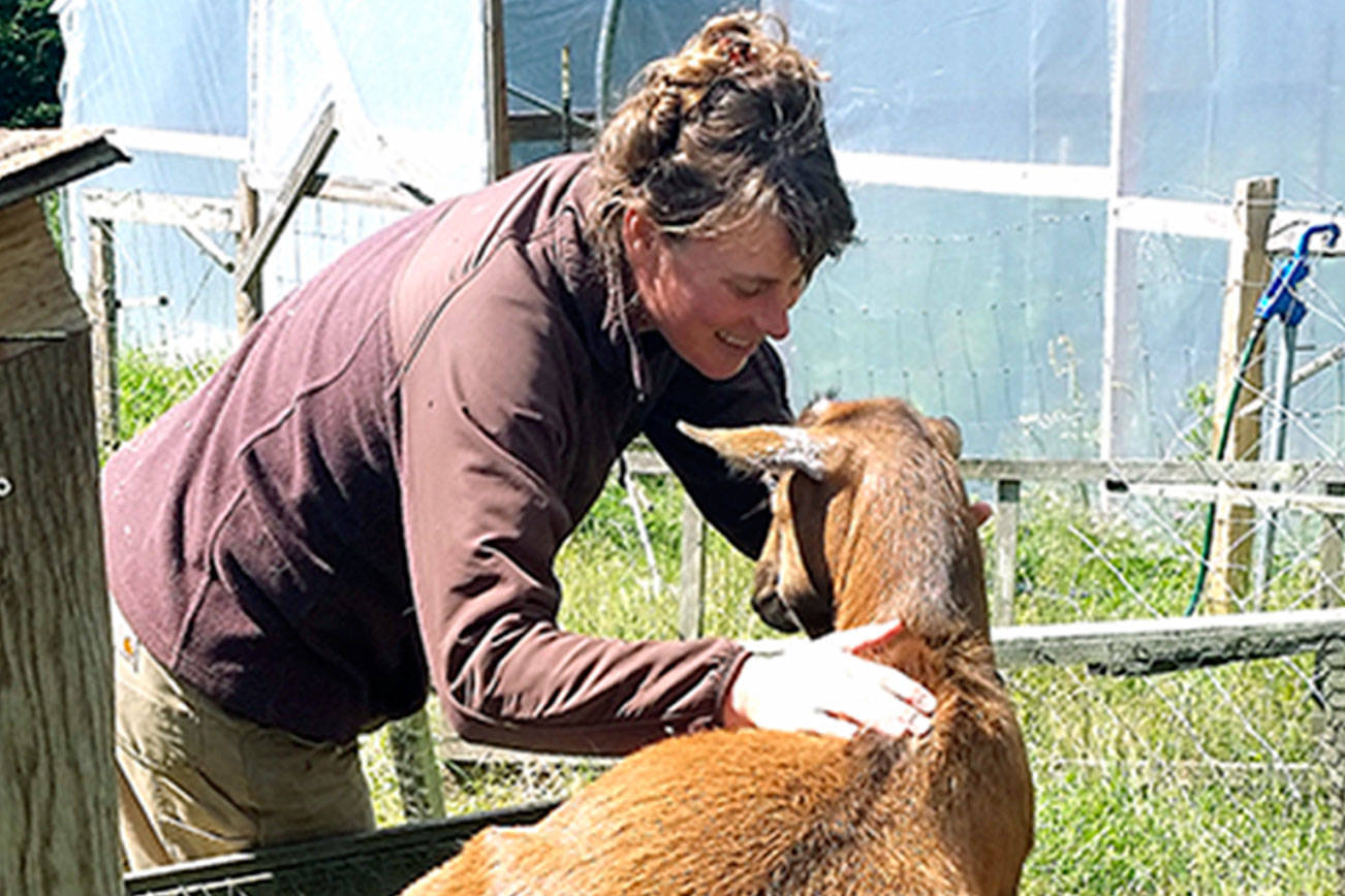 &lt;em&gt;Roni Smith, co-owner of Smithshyre Farms, engages with one of her goats. &lt;/em&gt;                                Tyler Shuey/Kitsap News Group