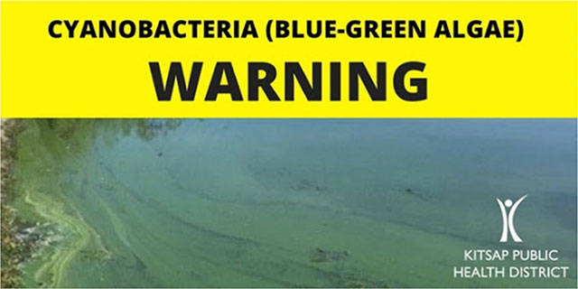 Algae bloom at Kitsap, Long Lakes prompts warning by county health authority