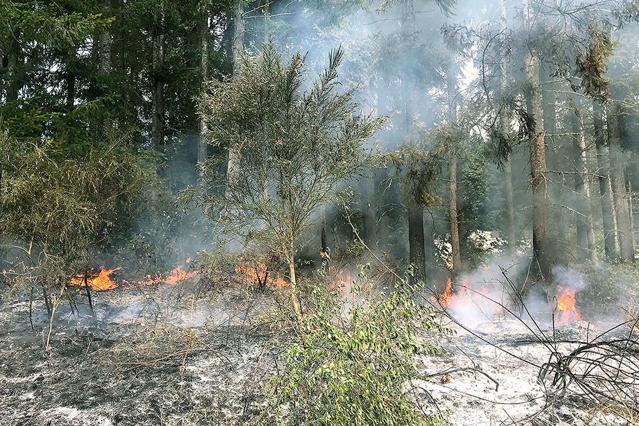 This blaze on Bear Ridge Drive near Little Boston Road in North Kitsap scorched 1,500 square feet of blackberry bushes and was headed into the trees when NKFR firefighters arrived on the scene on Saturday, July 21. (Photo courtesy Michele Laboda, North Kitsap Fire and Rescue)