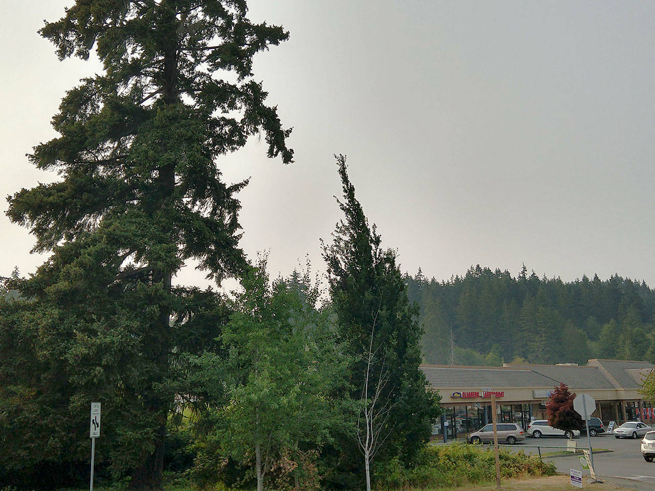 Dry weather: Air quality warning issued, Port Gamble forest park closed