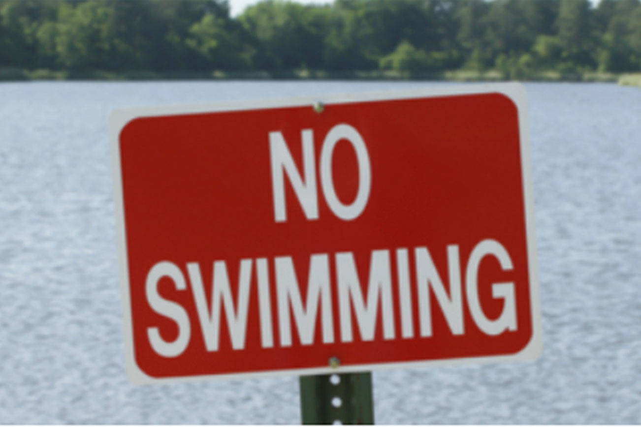 High E. coli levels prompt Kitsap Lake swimming beach closure