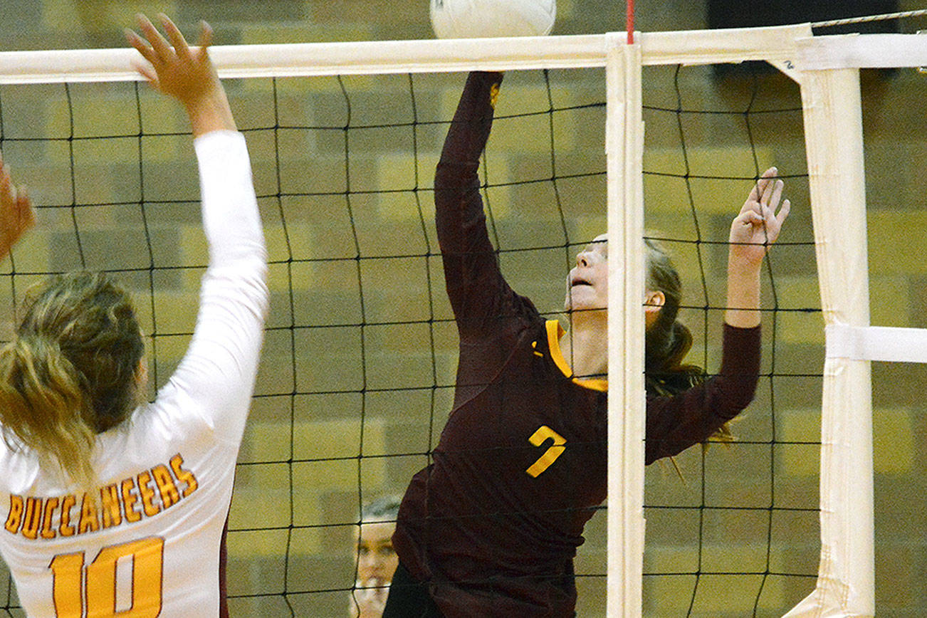 South Kitsap volleyball has a good core of returning players that should compete well in the tough SPSL. (Mark Krulish/Kitsap News Group)