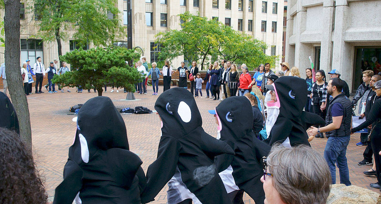 Demonstrators gathered in downtown Seattle on September 21 following the deaths of two young orcas over the past three months. (Karen Eichenberger Lollis, courtesy of the Endangered Species Coalition)