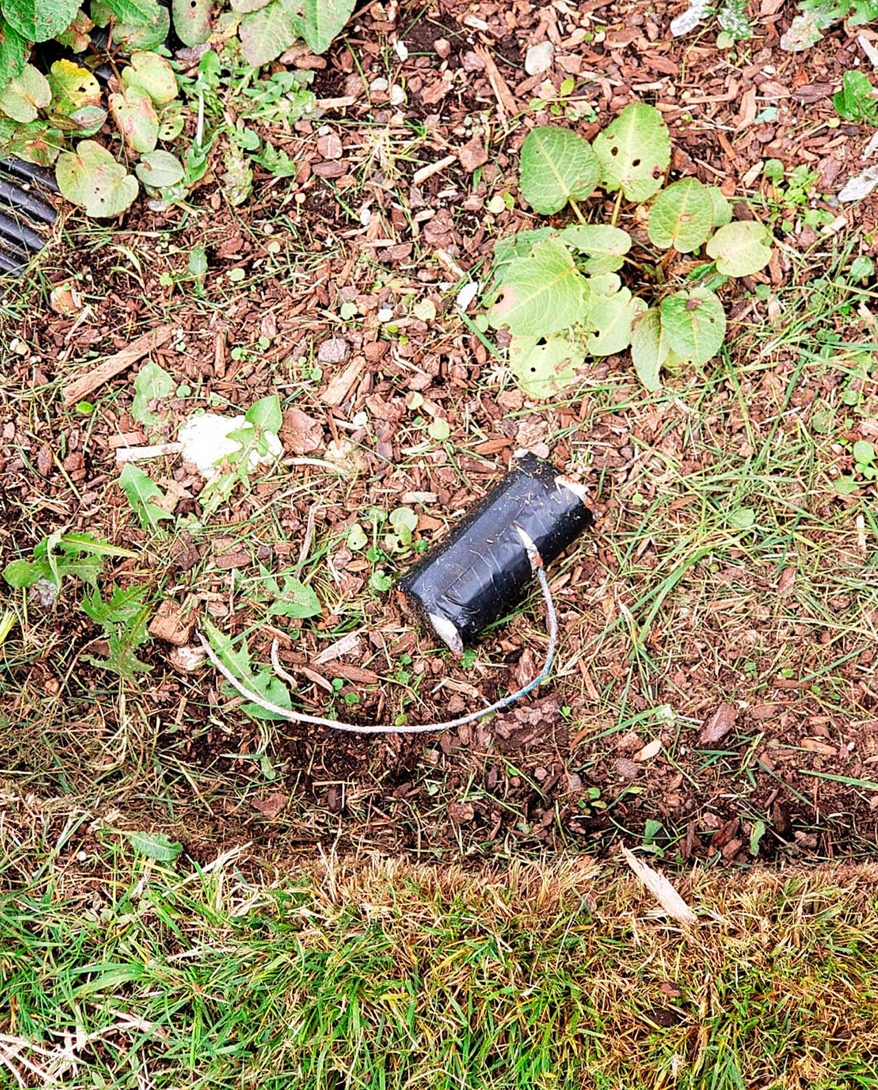 Police share photo of explosive found near Bremerton elementary school