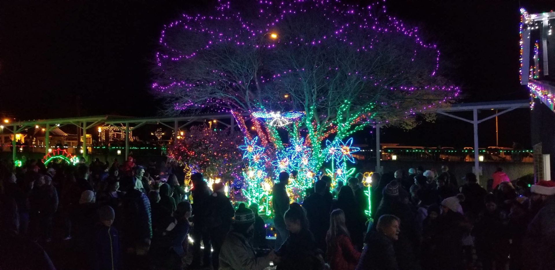 Kingston Cove Christmas lights up the waterfront Kitsap Daily News