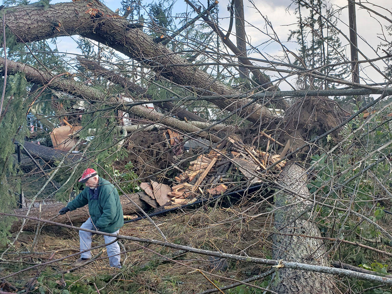 Skip Olmsted, who lives on Southeast Serenade Way, navigates his way around downed branches on his property after a tornado struck a portion of Port Orchard. (Robert Zollna | Kitsap Daily News)