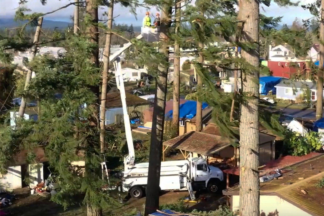 PSE, Asplundh drop risky trees damaged by Port Orchard tornado