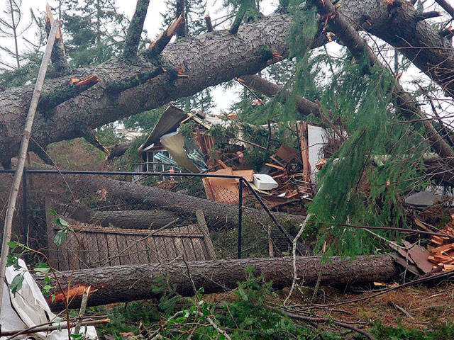 Federal loans on offer for those hit by December tornado