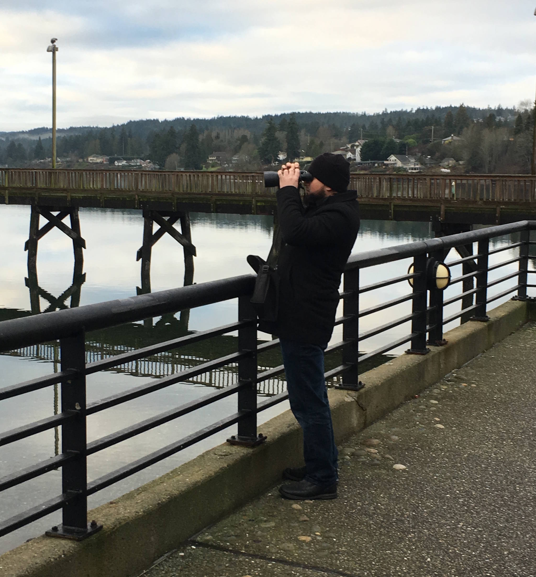 Volunteers flock to Silverdale Waterfront Park in search of missing 17-year-old