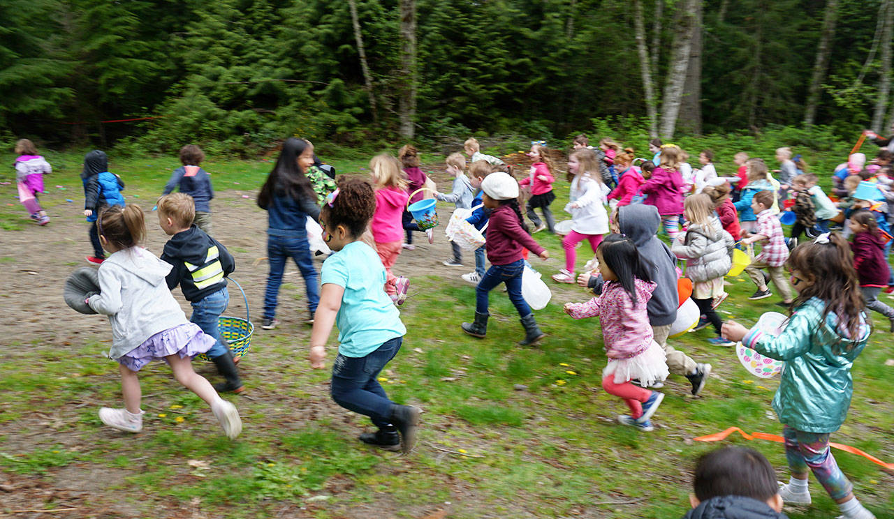 The playfield at South Kitsap Regional Park becomes a scene of controlled mayhem at the start of the Fathoms’ Easter Egg Hunt April 20. (Bob Smith | Kitsap Daily News)