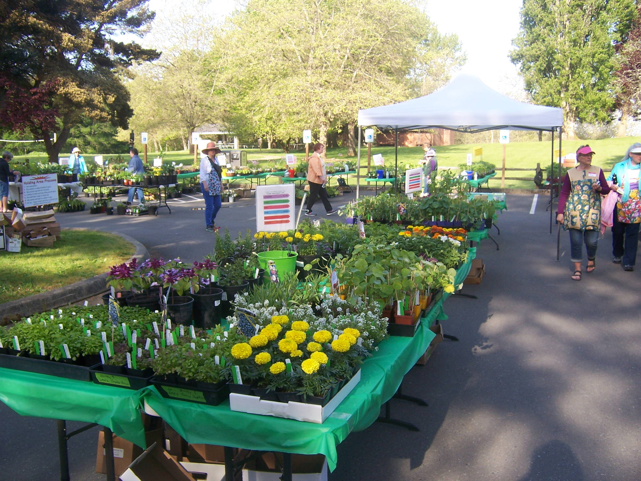 Flotsam and Jetsam Garden Club hosts plant sale Saturday