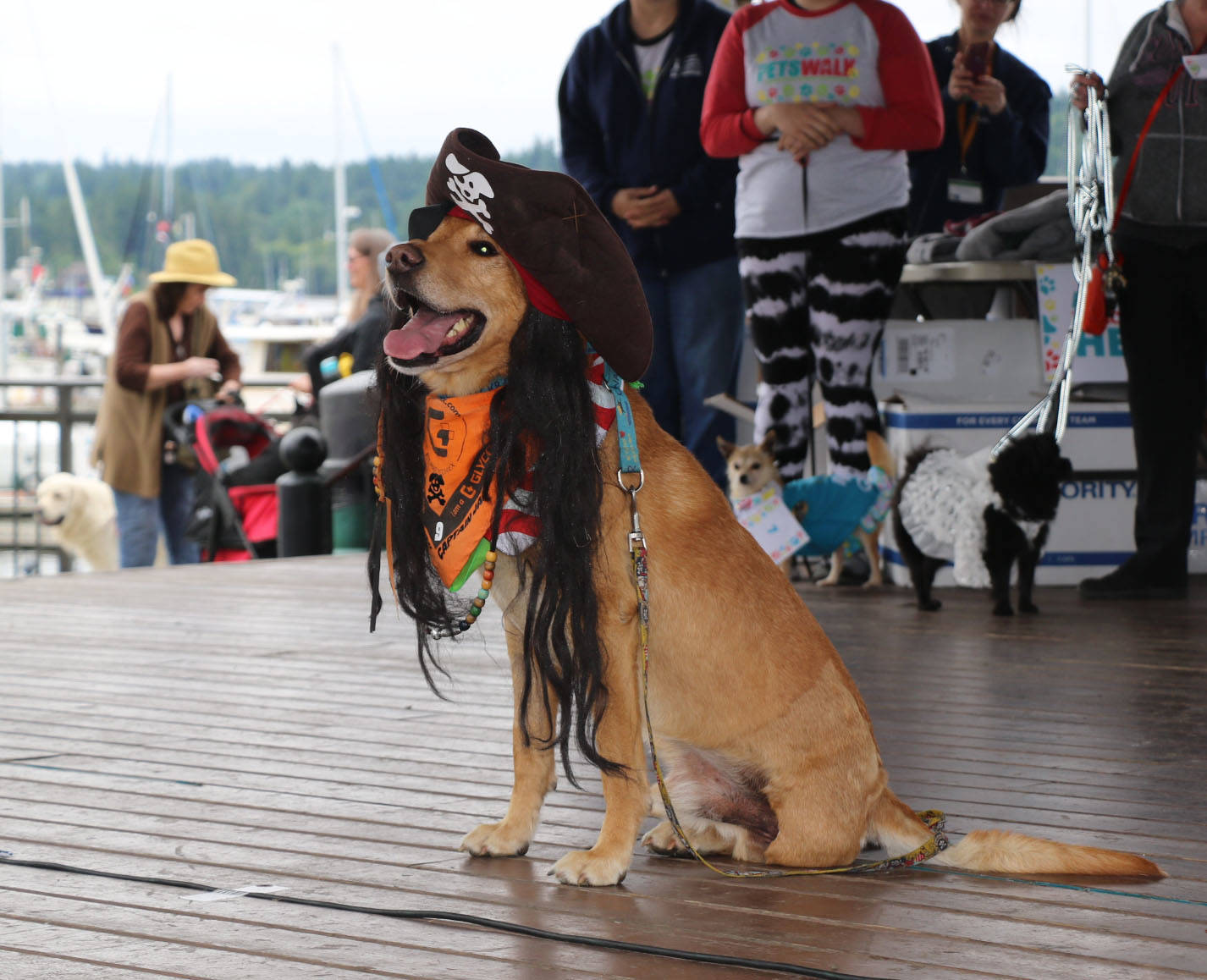 Poulsbo PetsWALK! exceeds goal, raises nearly $60,000