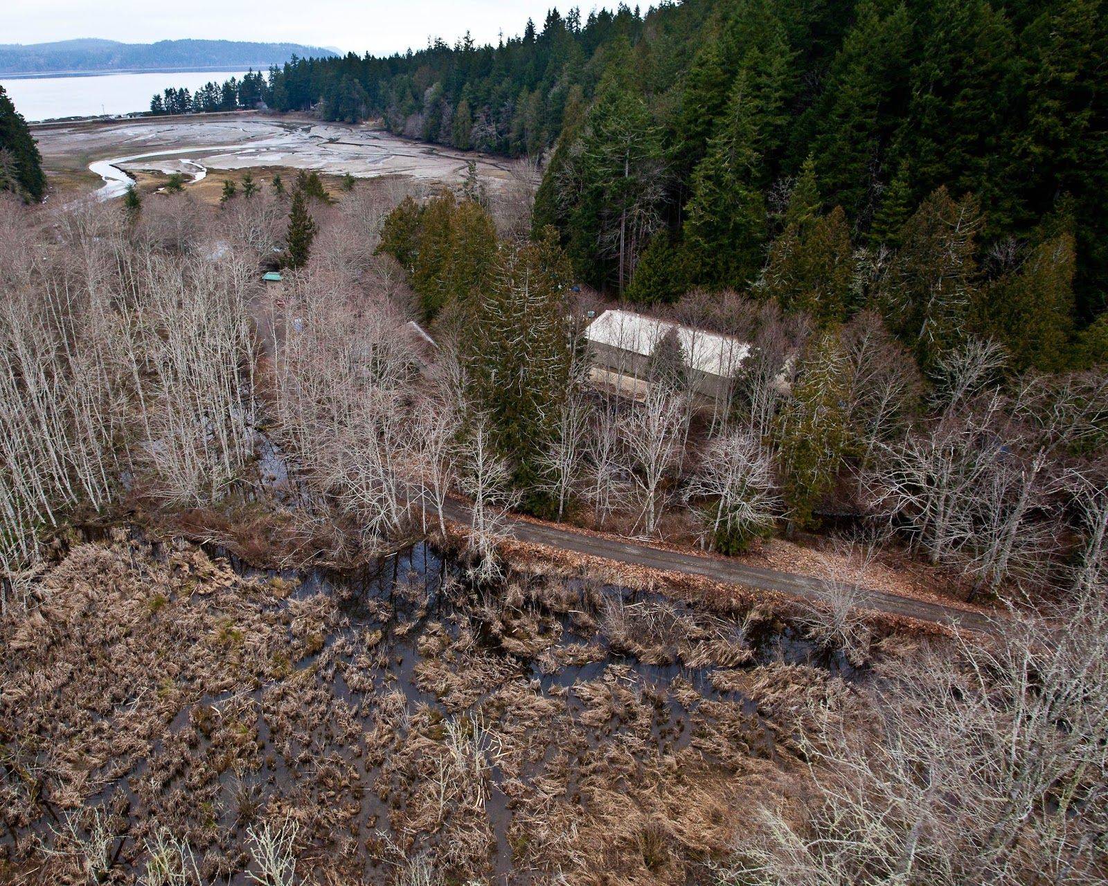 The Hood Canal Salmon Enhancement Group was awarded a $569,653 grant to purchase roughly 297 acres in the lower Big Beef Creek watershed. Photo courtesy Washington State Recreation and Conservation Office