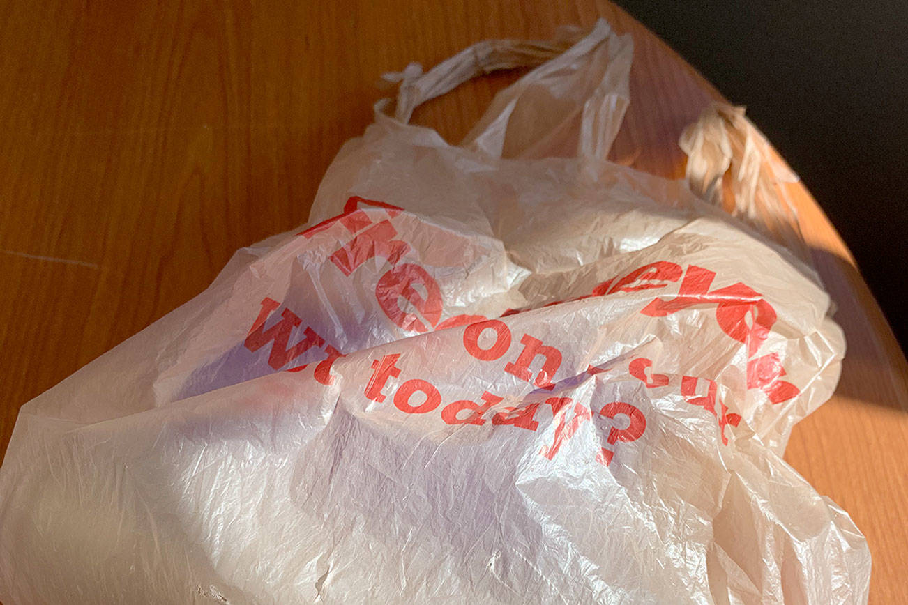 Single-use plastic bags to be banned Jan. 1