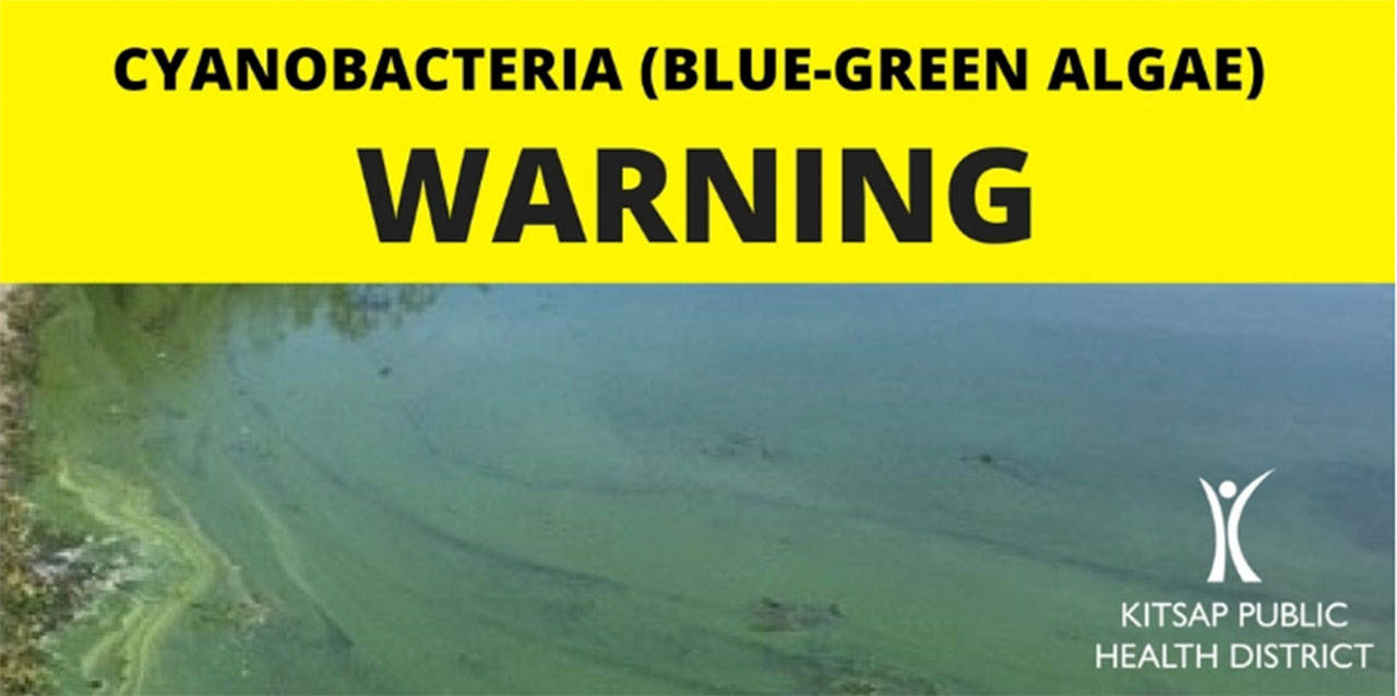 Kitsap Public Health issues another warning for cyanobacteria in Kitsap Lake