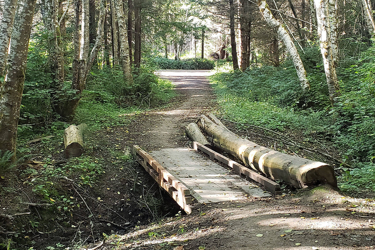 Intermediate hikes in Kitsap County to finish Summer