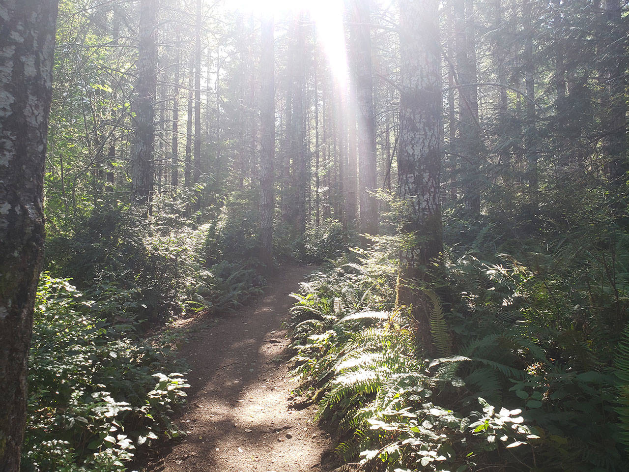 Intermediate hikes in Kitsap County to finish Summer
