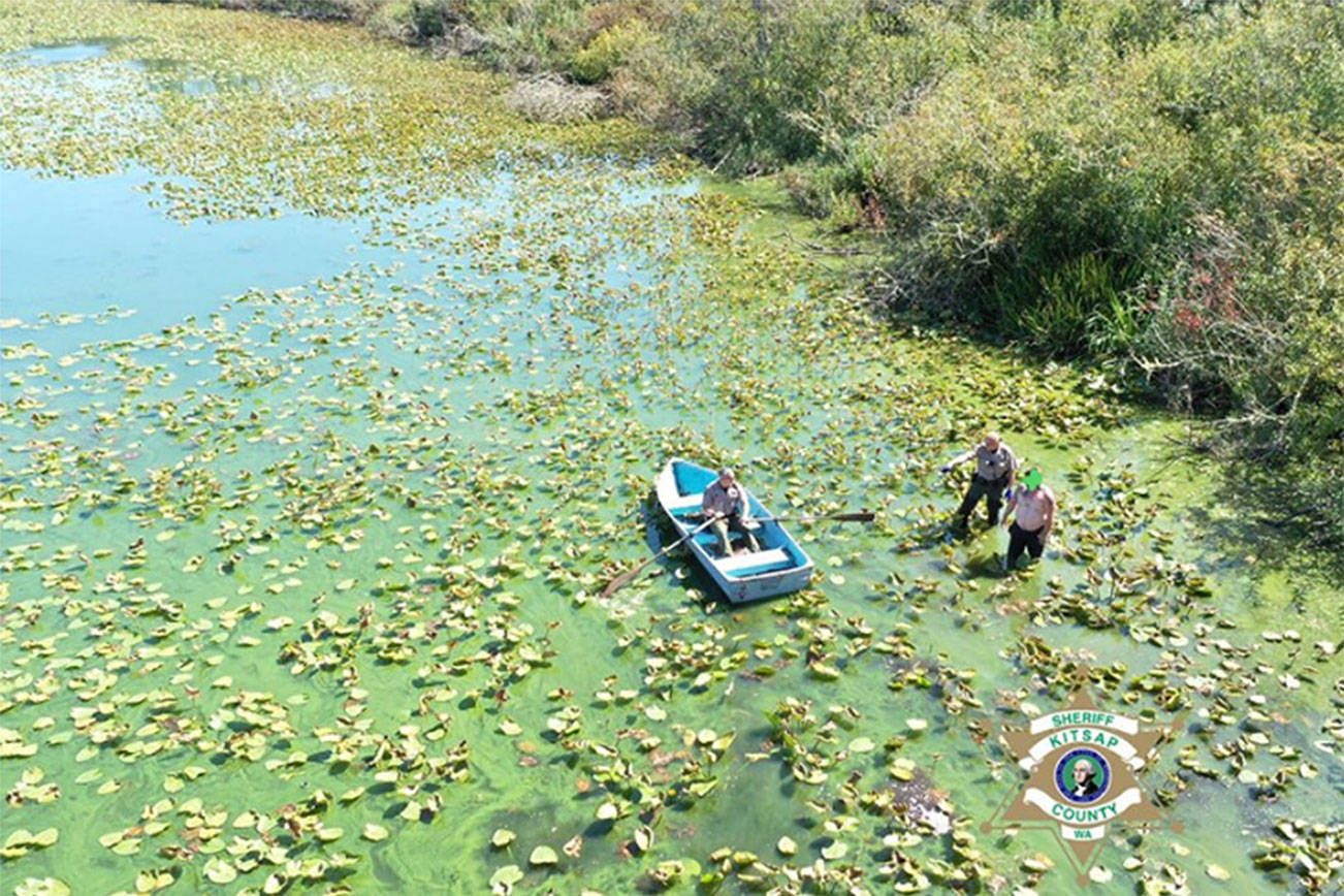 Sheriff’s K-9 ‘recovering well’ after tracking suspect into contaminated lake