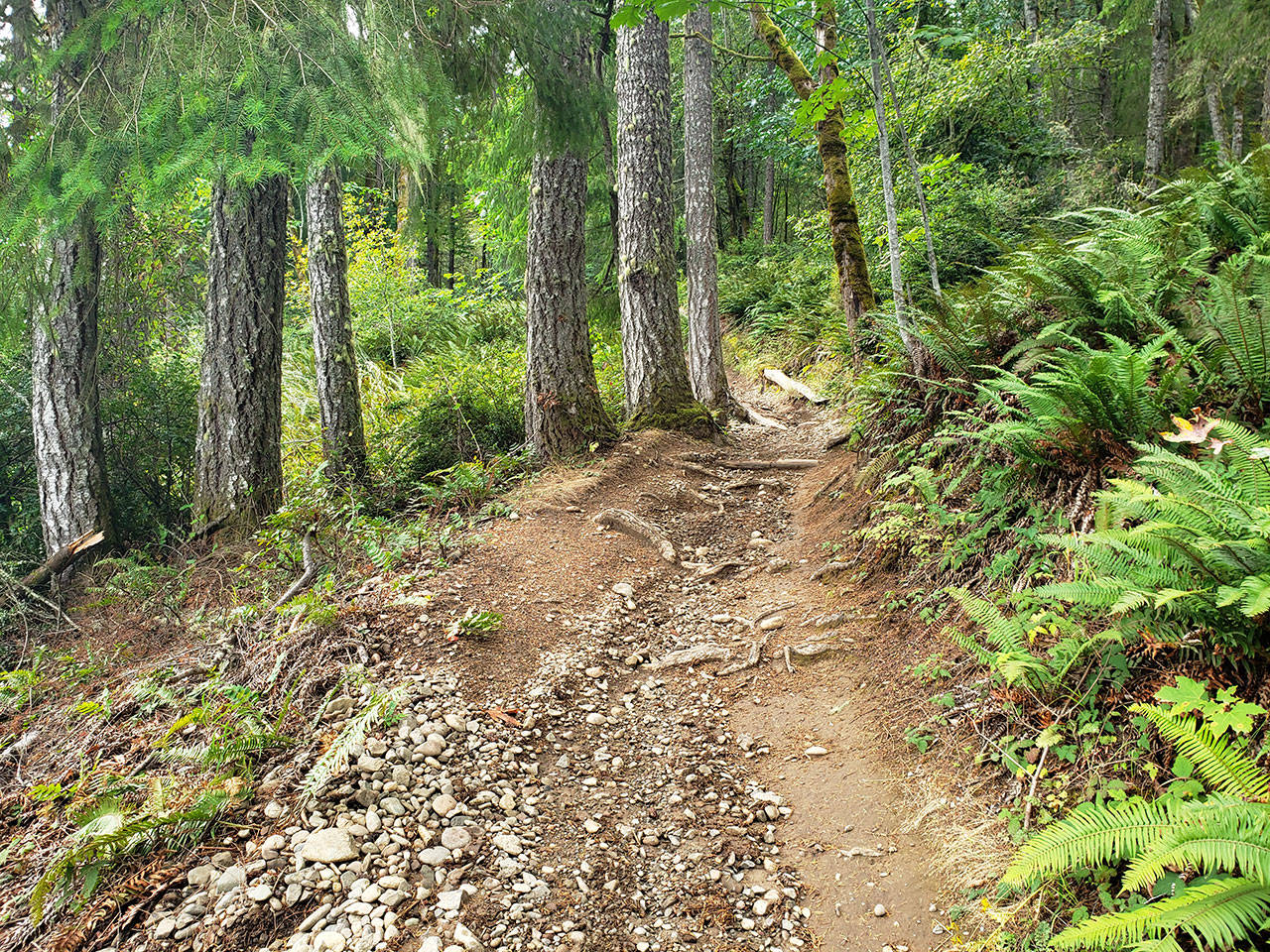 One last trek for the summer: Green Mountain’s Wildcat Trail