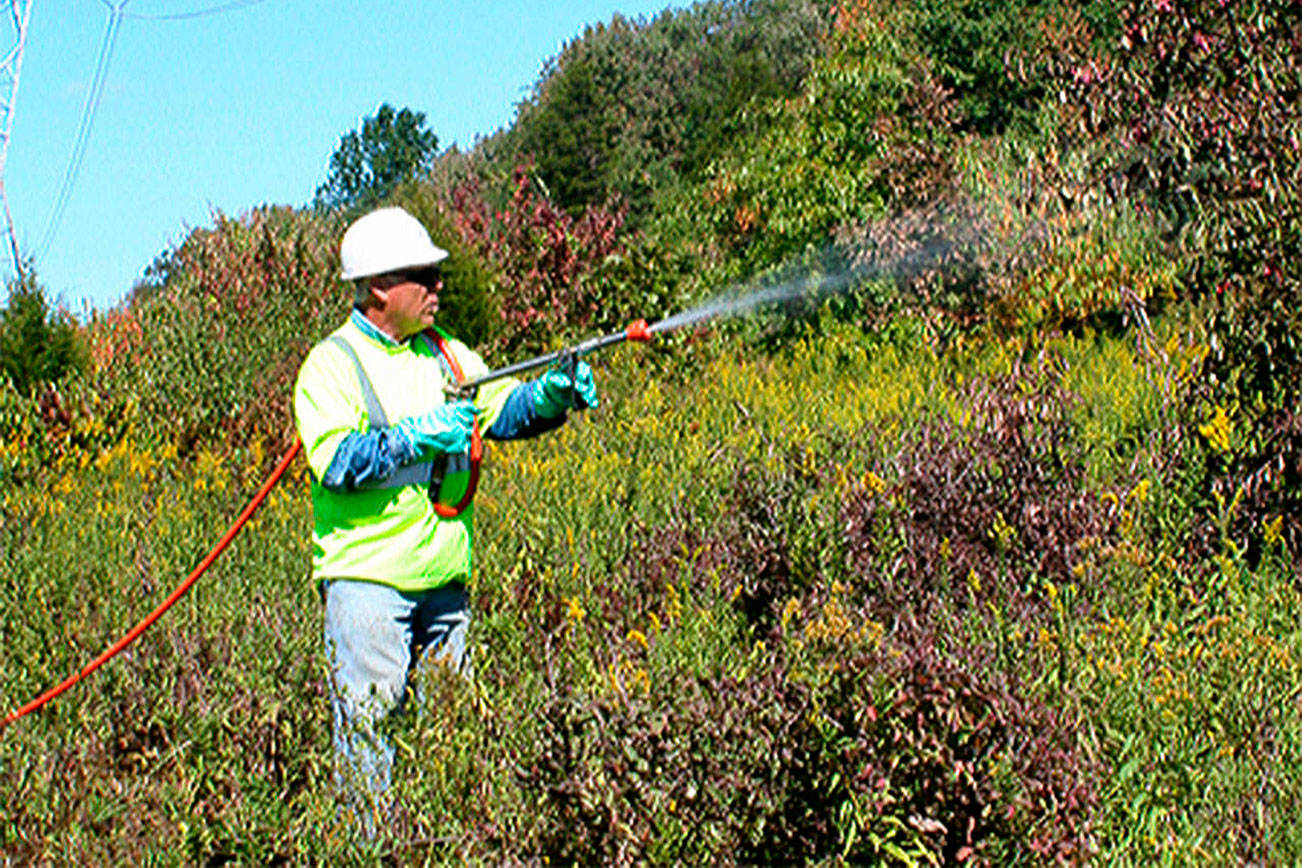 Port Orchard spraying to control vegetation Sept. 30-Oct. 4