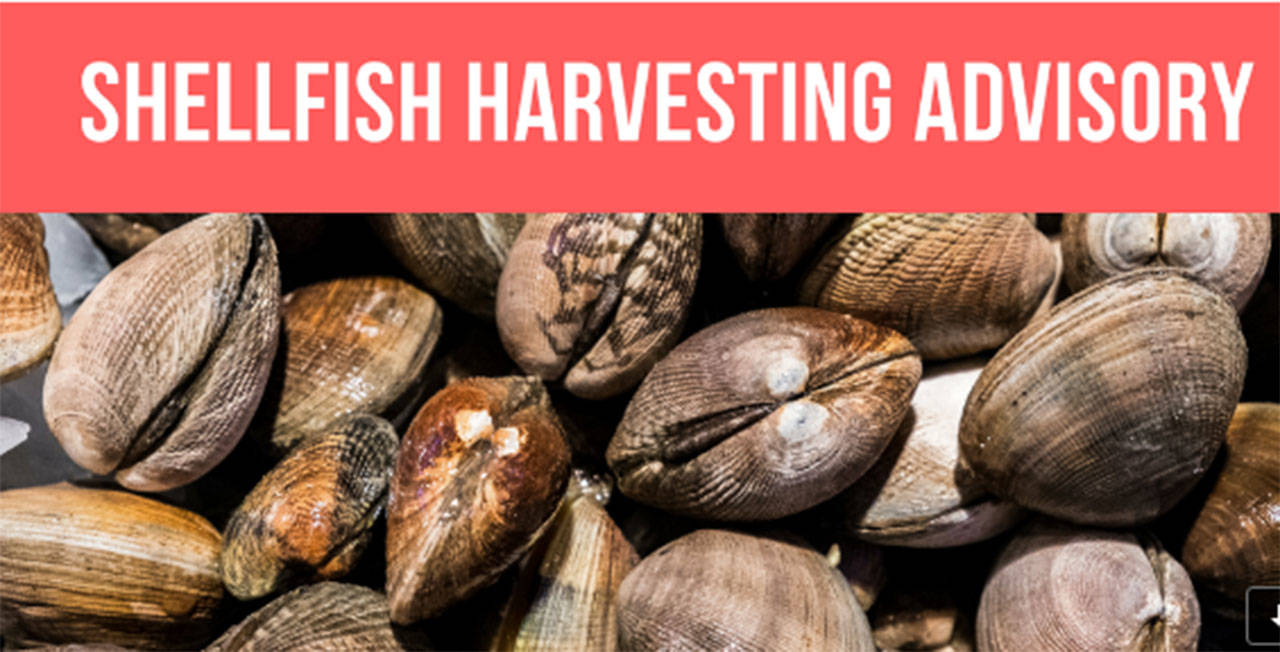 Photo courtesy of Kitsap Public Health District