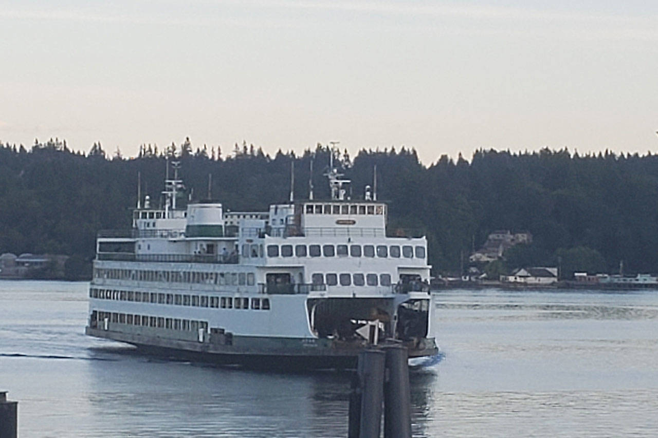 Ferries implement Whale Report Alert System