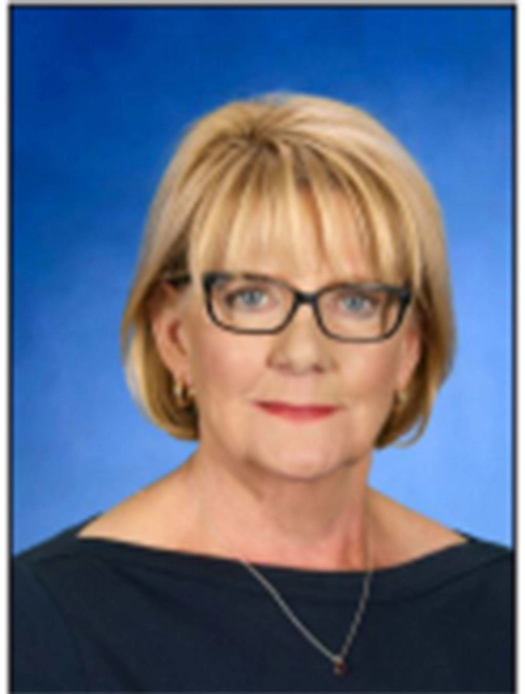 Seven and one incumbent vie for seats on the North Kitsap