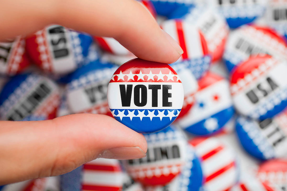 Election 2019 | Get to know the candidates for North Kitsap port commissions