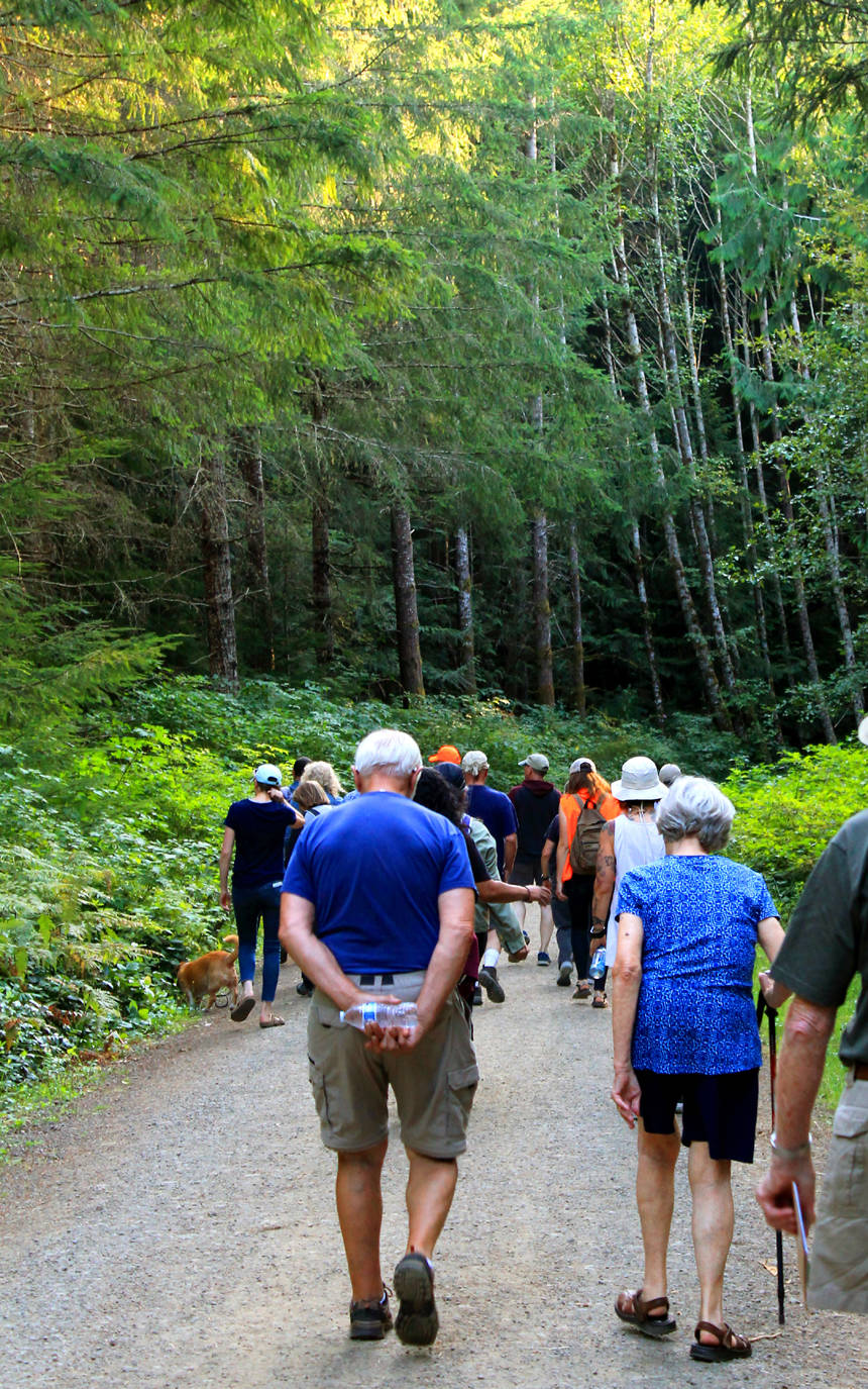 <em>Visitors explore Ueland Tree Farm where waterfalls, canyons, rich forests and a variety of trails await. </em>                                Photo by Nancy Sefton.