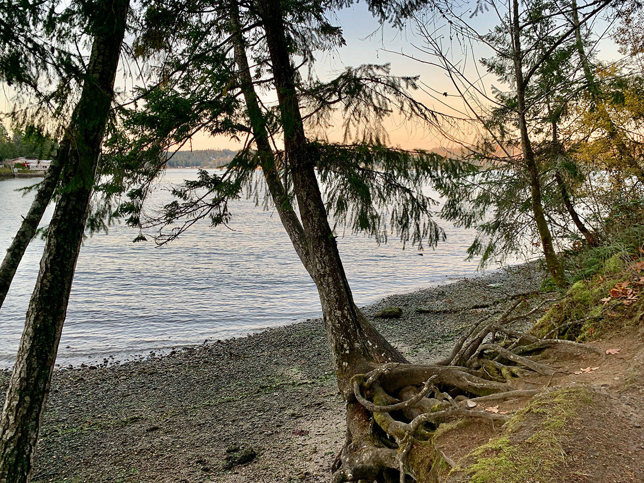 The last remnants of a clear blue November Sunday filter from the Manchester State Park shoreline overlooking Rich Passage. (Bob Smith | Kitsap Daily News)