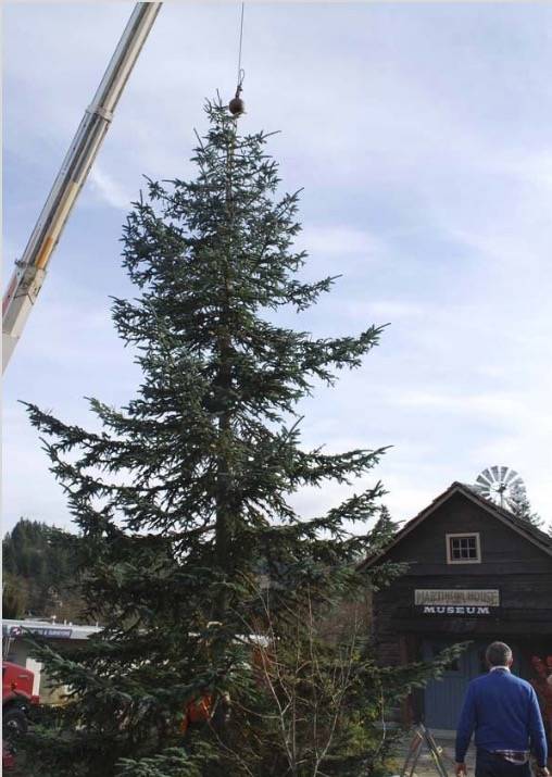 Poulsbo Christmas tree lighting Nov. 29