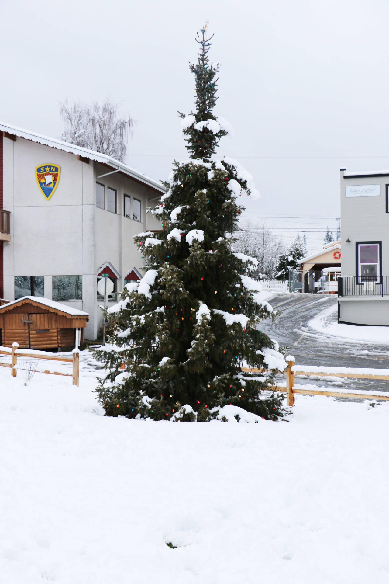 The holidays may be over but the lights on Poulsbo’s Christmas tree still shine bright.