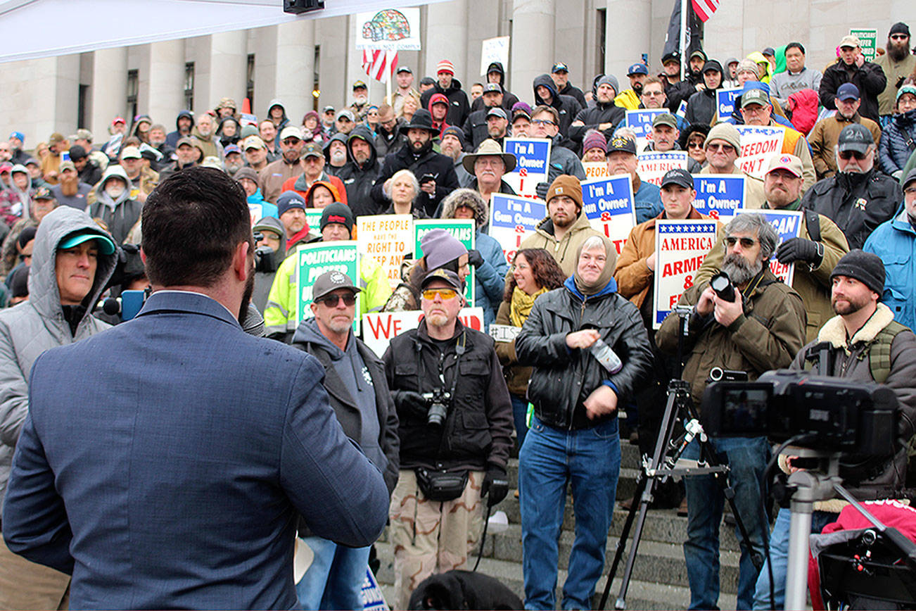 Gun rights advocates rally at Capitol