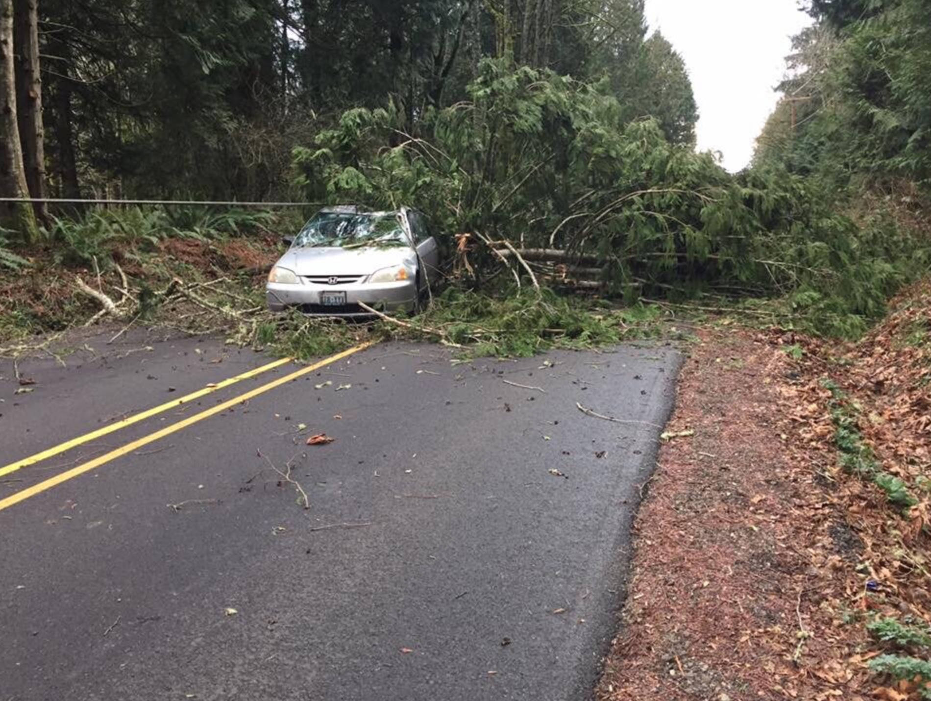 High winds run amok across Kitsap County