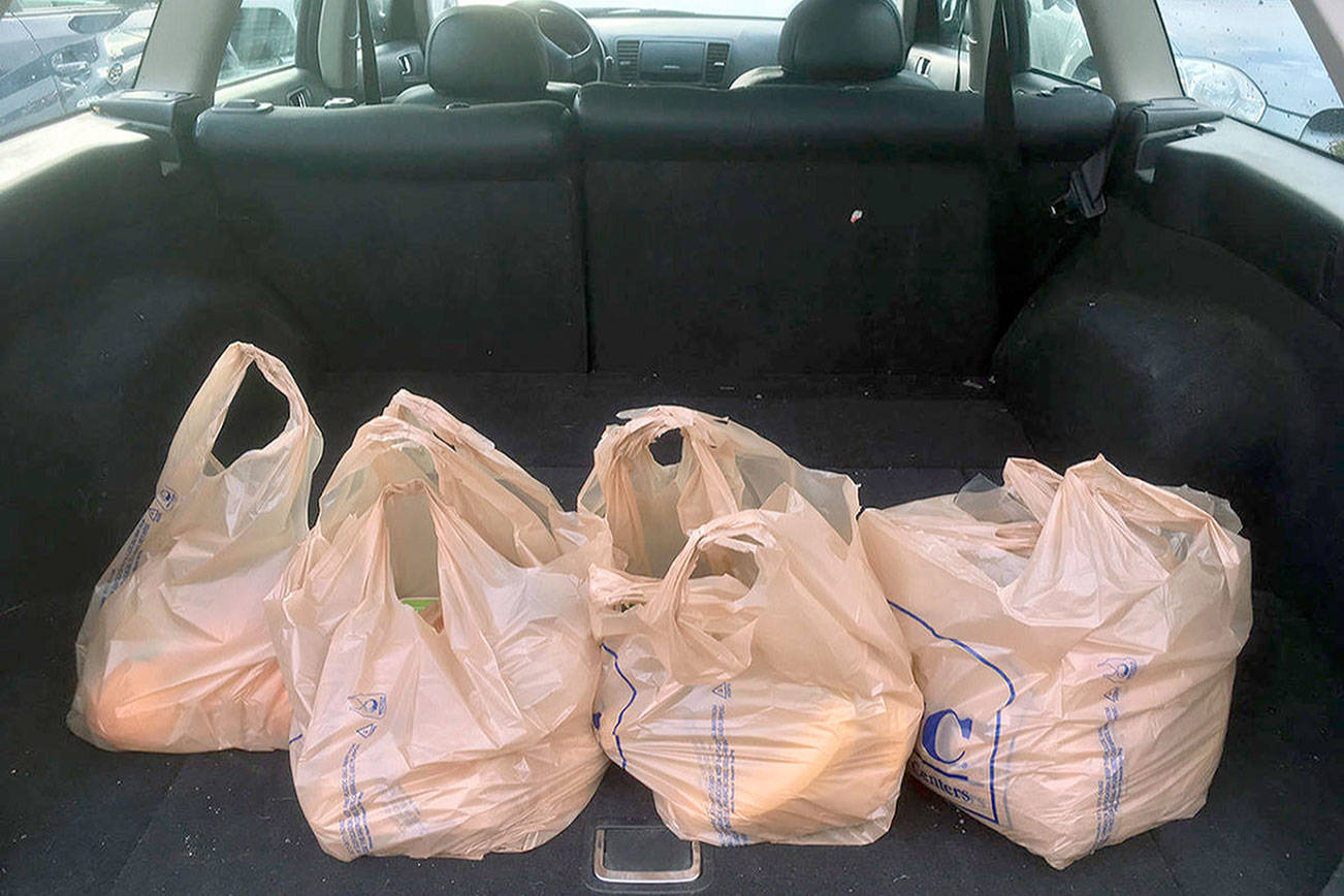 Legislature bans single-use plastic bags in state