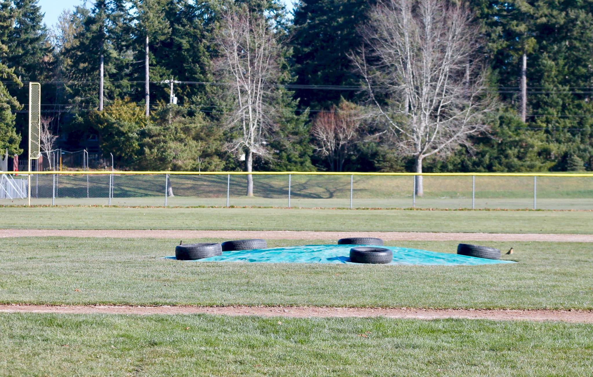 Like all others around Kitsap, North Kitsap High School’s baseball field has no activity in its future. (Mark Krulish/Kitsap News Group)