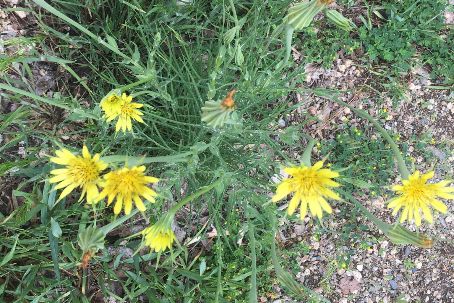 Kitsap County road maintenance behind schedule due to COVID19 Kitsap Daily News