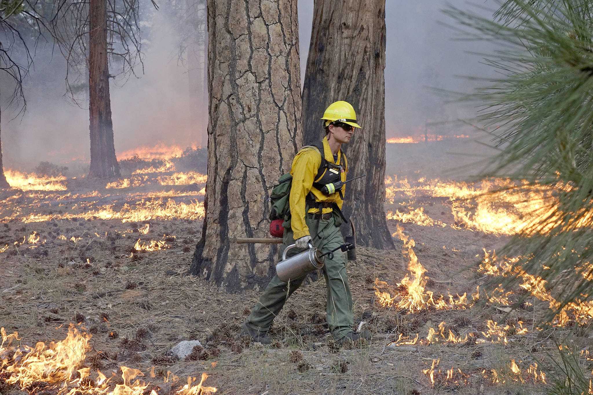Hot, dry conditions will increase wildfire risk this weekend
