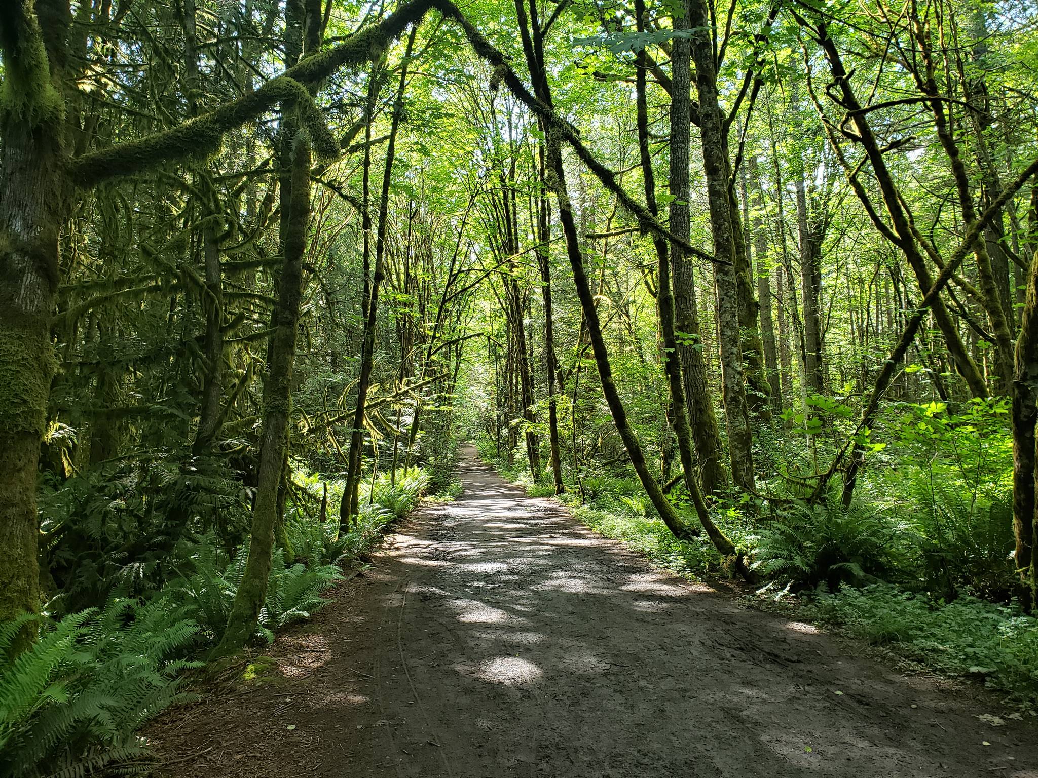 Attainable island hikes for an approaching summer